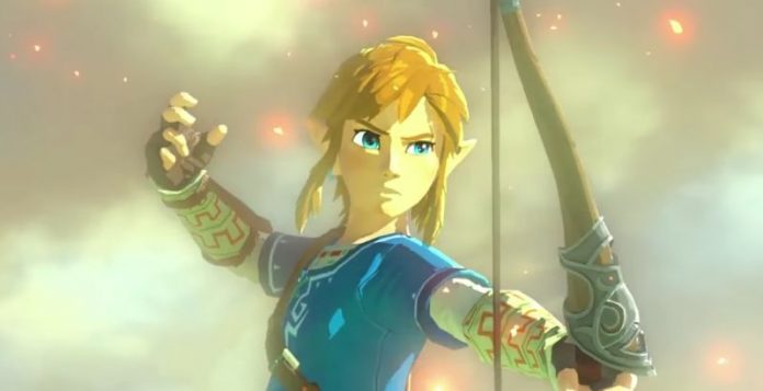 Link is Genderfluid – New Normative